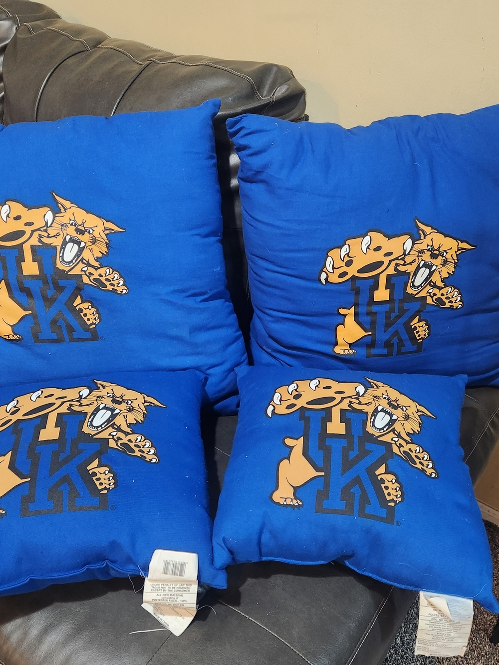 Vintage Northwest Kentucky WildCats Pillow Set 22×22 & 14×14 Size